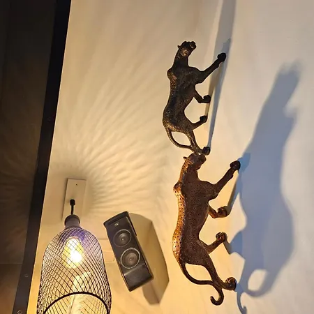 Naturist Cap In Loft * 阿格德
